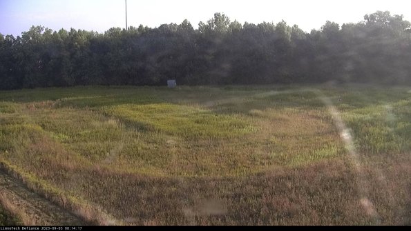 Cell 4_23-09-03_08-14-17-87