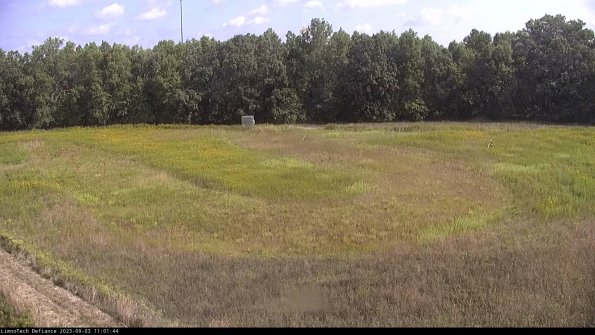 Cell 4_23-09-03_11-01-44-87