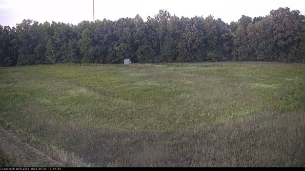 Cell 4_23-09-03_19-57-34-86