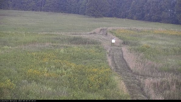 Cell 1 to 2_23-09-04_07-39-51-88