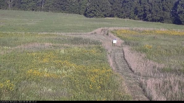 Cell 1 to 2_23-09-04_08-13-21-87