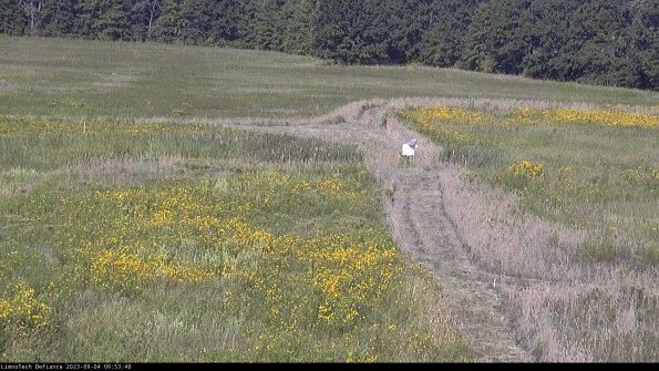 Cell 1 to 2_23-09-04_09-53-48-89