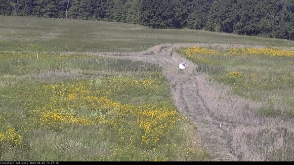 Cell 1 to 2_23-09-04_10-27-18-88