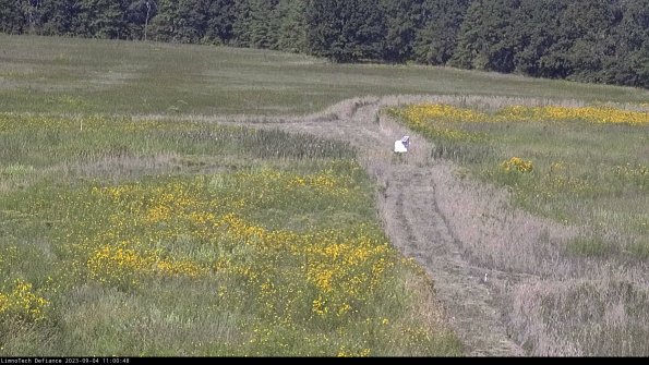 Cell 1 to 2_23-09-04_11-00-48-87