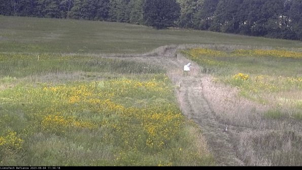 Cell 1 to 2_23-09-04_11-34-18-89