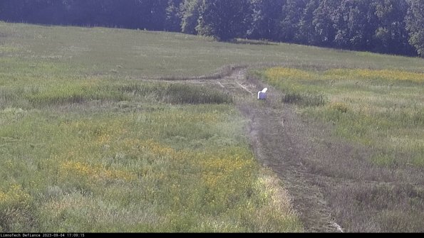 Cell 1 to 2_23-09-04_17-09-15-87