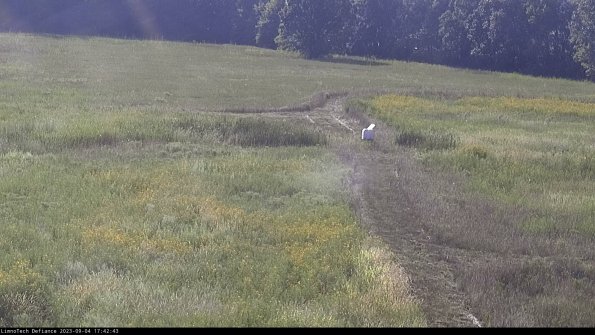 Cell 1 to 2_23-09-04_17-42-43-85