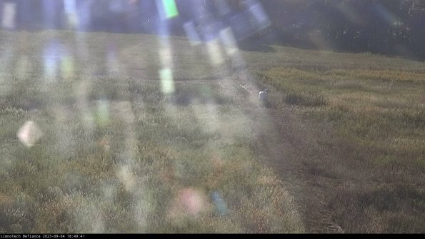 Cell 1 to 2_23-09-04_18-49-41-88