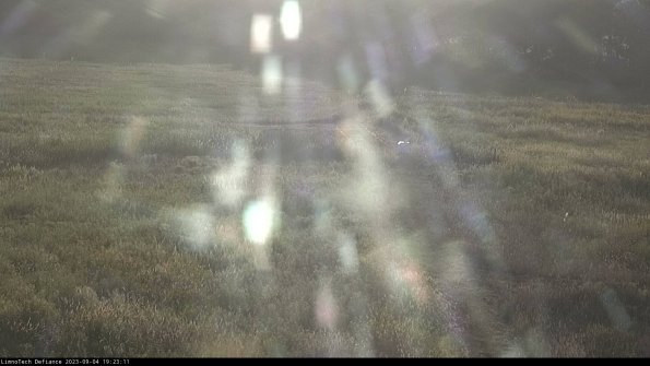 Cell 1 to 2_23-09-04_19-23-11-87