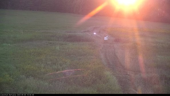 Cell 1 to 2_23-09-04_19-56-40-89