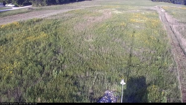 Cell 1_23-09-04_08-13-07-89