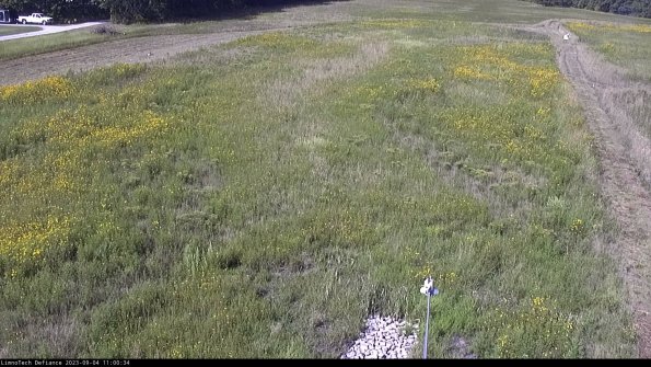 Cell 1_23-09-04_11-00-34-85