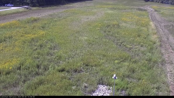 Cell 1_23-09-04_13-48-03-88