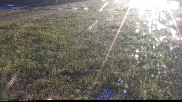 Cell 1_23-09-04_19-22-57-86