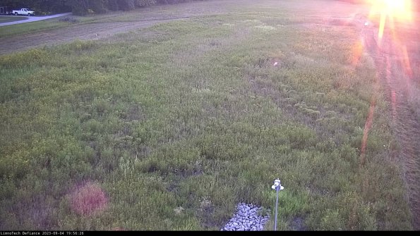 Cell 1_23-09-04_19-56-26-87