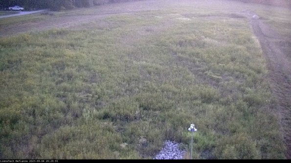 Cell 1_23-09-04_20-29-55-86