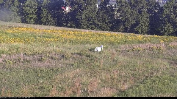 Cell 2 to 3_23-09-04_08-13-47-99