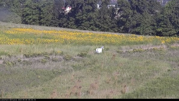 Cell 2 to 3_23-09-04_09-54-15-05