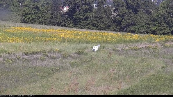 Cell 2 to 3_23-09-04_10-27-45-07