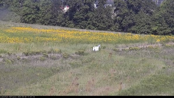 Cell 2 to 3_23-09-04_11-01-14-96