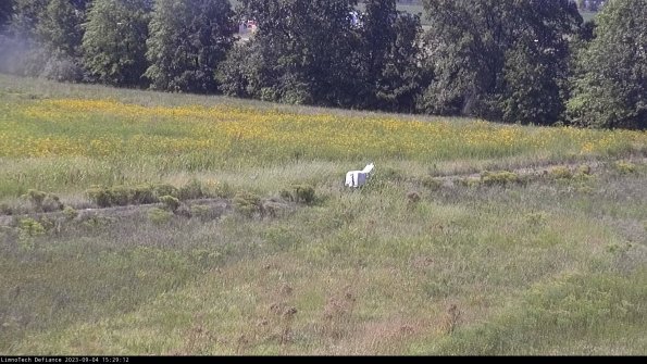 Cell 2 to 3_23-09-04_15-29-13-01