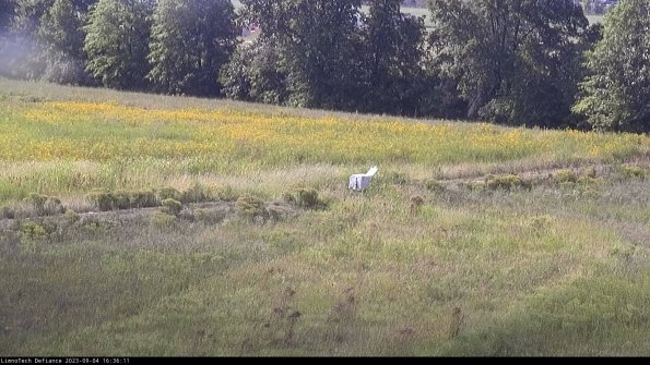 Cell 2 to 3_23-09-04_16-36-12-04