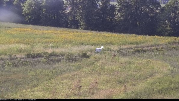 Cell 2 to 3_23-09-04_17-43-10-08