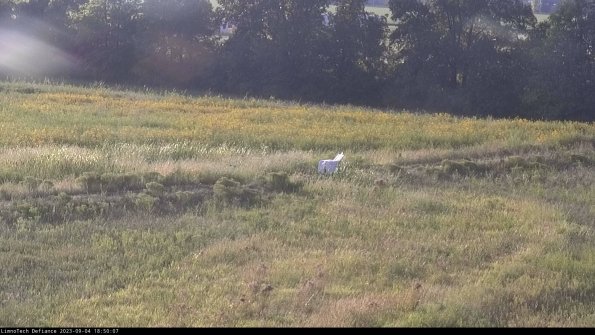 Cell 2 to 3_23-09-04_18-50-07-98