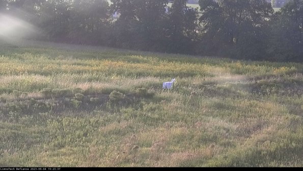 Cell 2 to 3_23-09-04_19-23-37-96