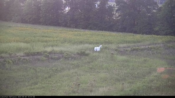 Cell 2 to 3_23-09-04_19-57-06-91