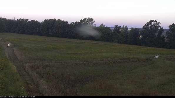 Cell 2_23-09-04_07-40-04-89