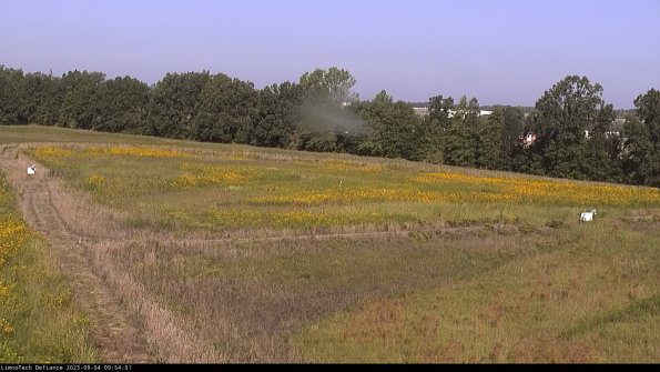 Cell 2_23-09-04_09-54-01-91