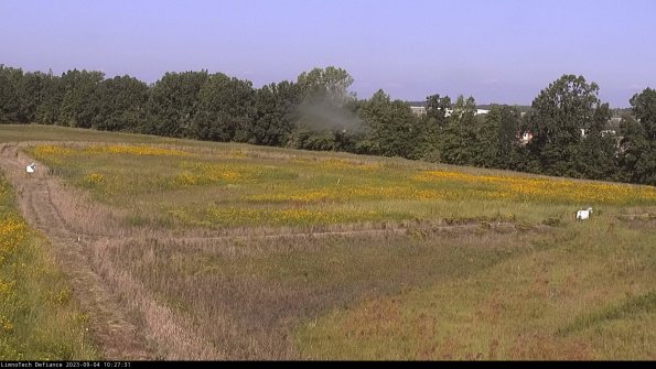 Cell 2_23-09-04_10-27-31-96