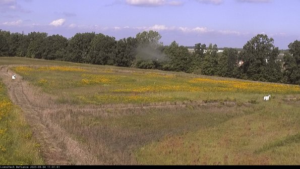 Cell 2_23-09-04_11-01-01-91