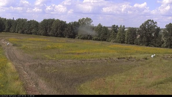 Cell 2_23-09-04_13-48-30-97