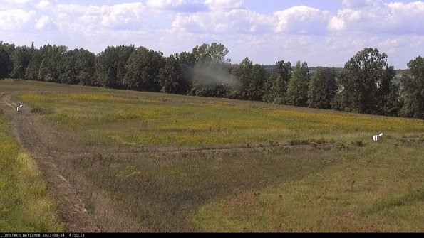 Cell 2_23-09-04_14-55-29-94