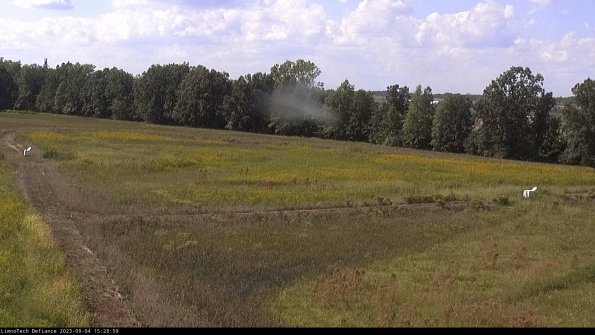 Cell 2_23-09-04_15-28-59-89