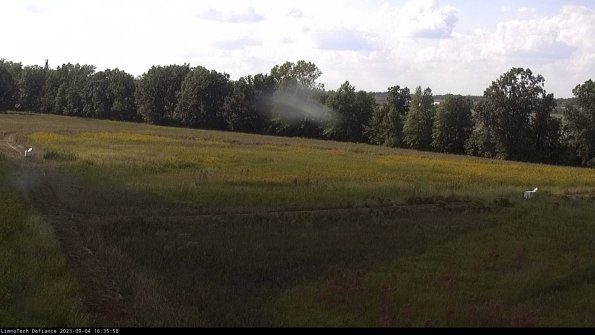 Cell 2_23-09-04_16-35-58-93