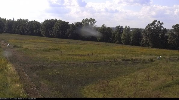 Cell 2_23-09-04_17-09-28-91