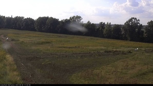 Cell 2_23-09-04_17-42-56-93