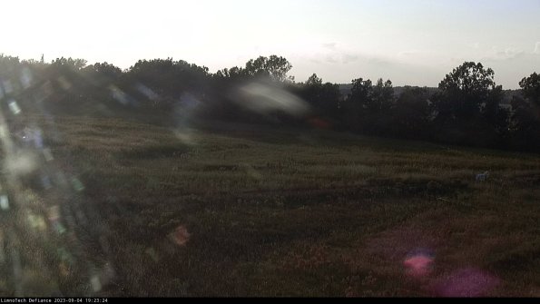 Cell 2_23-09-04_19-23-24-88