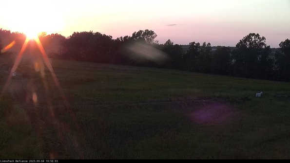 Cell 2_23-09-04_19-56-53-90