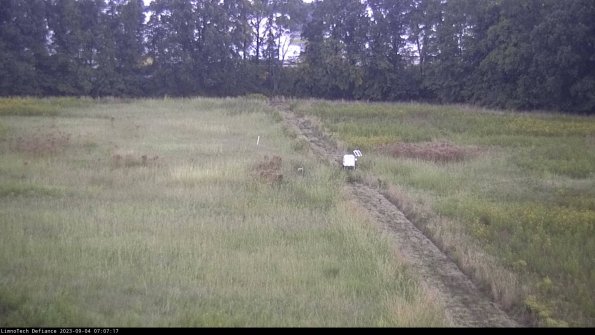 Cell 3 to 4_23-09-04_07-07-17-88