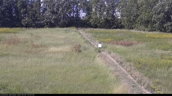 Cell 3 to 4_23-09-04_16-03-09-89