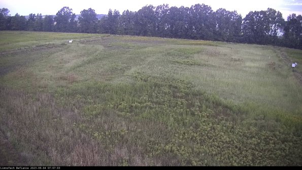 Cell 3_23-09-04_07-07-03-87