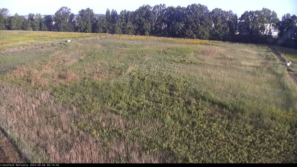 Cell 3_23-09-04_08-14-02-88