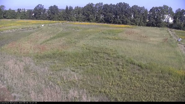 Cell 3_23-09-04_10-27-59-89