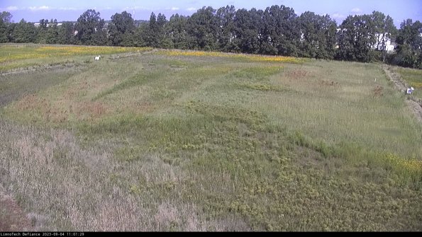 Cell 3_23-09-04_11-01-29-88