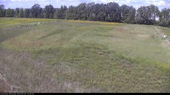 Cell 3_23-09-04_13-48-58-90