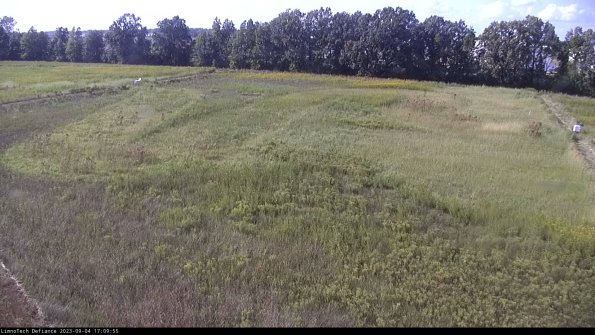 Cell 3_23-09-04_17-09-56-11